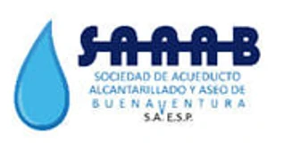 Logo de SAAAB E.S.P.